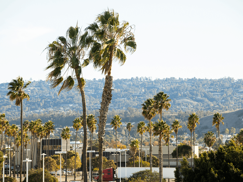 A picure of the City of Long Beach representing our mobile massage services in Torrance, CA