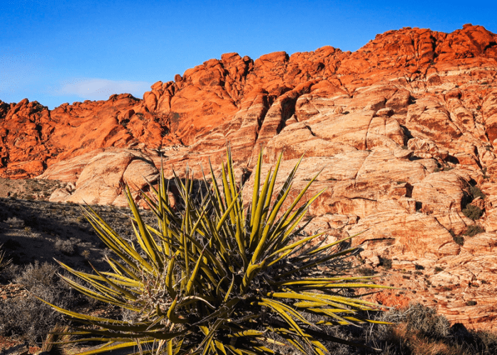 This picture of Red Rock Canyon represents something cool and crazy for couples to do in Las Vegas