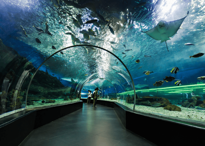 Shark Reef Aquarium at Mandalay Bay in Las Vegas